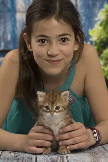 Siberians: Siberian kitten and girl inside