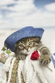 111219: Siberian kitten with hat holding rose