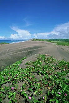 Peebles: Sigatoka Sand Dunes National Park, Fiji