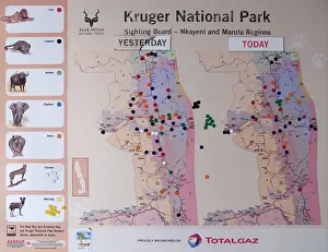 Safaris: Sightings Board