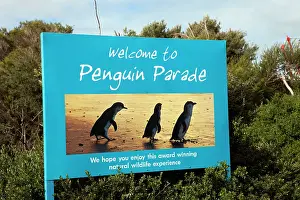 Advertising: Sign advertising the world famous Penguin Parade - one of Vi