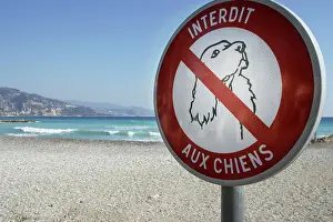 Forbidden: Sign on beach - dogs forbidden