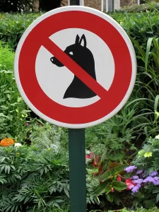 Urinating: Sign - No dogs allowed by flowerbed