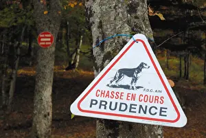 Notices: Sign during a hunt in the woods in France