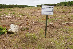 Company: Sign on Plum Creek property that was previously