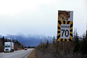 Trucks: Sign - on road warning of Wolves crossing