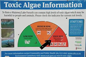 Algae: Sign about toxic algae - Lake Forsyth, Little River