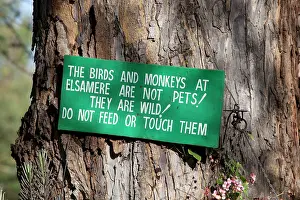 Elsamere: Sign on tree - Do not touch or feed birds and monkeys