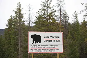 Stay: Sign - warning to stay in your car if Bears are encountered