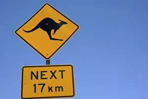 Population: Signaling wildlife passage: Kangaroo, Kosciuszko