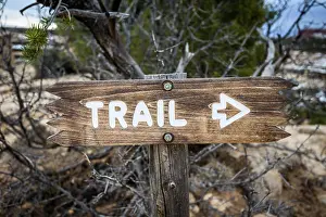Bridges: Signpost, Direction sign, Hiking trail, Trail, Natural