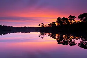 Nationaal: Silhouette landscape of Oisterwijkse bossen en vennen at sun