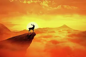 Loneliness: Silhouette of a lonely deer with long horns standing