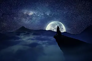 Howl: Silhouette of a lonely wolf standing on a cliff