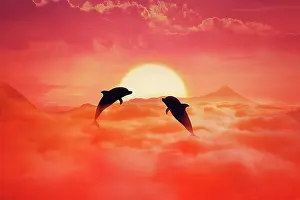 Fisch: Silhouette of two playful dolphins jumping above