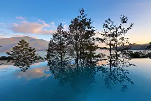 250119: Silhouettes and reflection of trees at sunset