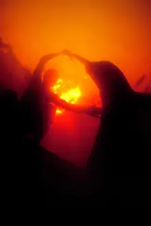 Silhuettes: Silhoutte of Pink River dolphin or Boto, Inia geoffrensis an