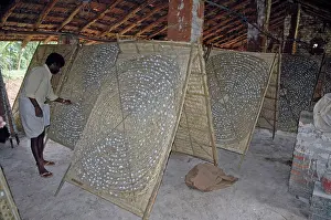 Silkworms: Silkworm coccoons at an Indian silk farm