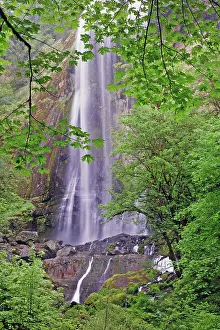 Adam: Silver Falls, Golden and Silver Falls State Natural