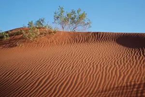 Simpson: Simpson Desert