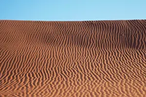 Simpson: Simpson Desert Evening light dune scene