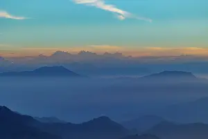 Panda: Singalila forest