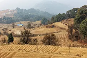 Cultures: Singalila national park, Jaubari village