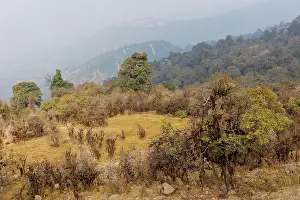 Paysage: Singalila national park, Jaubari village and surrounding area