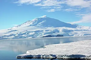 Shelf: A Single Emperor Penguin at Base of Mt. Erebus Volcano