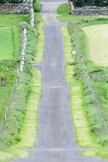 Orkneys: Single Track Road