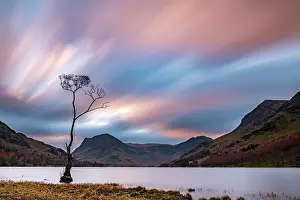 Cumbria: Single tree in the lake with reddish clouds, surrounded