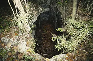 Feature: Sinkhole in the Bahamas