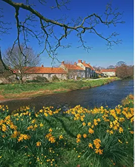 200617: Sinnington, North Yorkshire, England