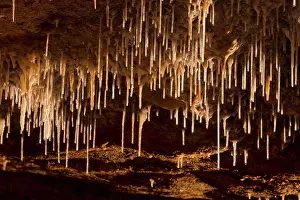 Dripstone: Sinter straws. The Baradla Cave in Aggtelek