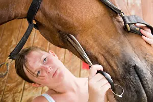 Champagne: Size of hairs under the neck of a Cheval France