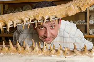 Palaeontologist: Skeleton - Paleontologist / Palaeontologist Eric