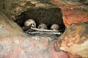 Aborigine: Skulls and bones of Australian aborigines