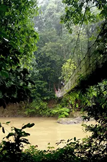 Walkways: Sky Walk / Trail bridge / Suspension Bridge /