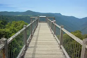 Skywalk: Skywalk over rainforest - this boardwalk is built