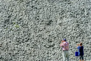 Multitude: The slab near the Ammonites Digne - Geological Reserve