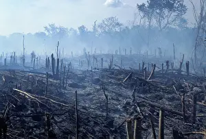 Burning: Slash-and-Burn Agriculture