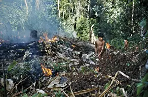 Burning: Slash-and-Burn Agriculture