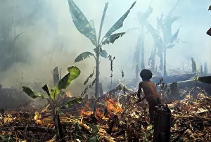 Smoke: Slash-and-Burn Agriculture