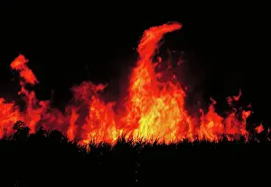 Fires: Slash and burn agriculture