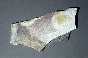 Metamorphism: Slate, a metamorphic rock