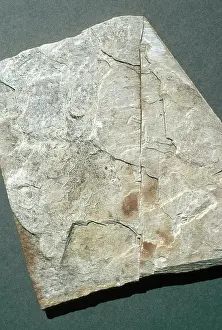 Flaky: Slate