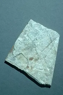 Flaky: Slate