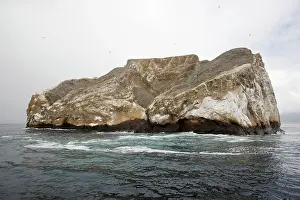 Cristobal: Sleeping Lion near San Cristobal Island