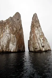 Cristobal: Sleeping Lion near San Cristobal Island