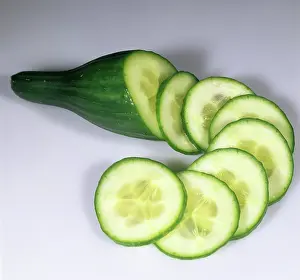 Cucumis: Sliced Cucumber